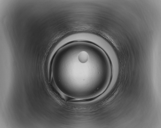 X0000116280589200912071152