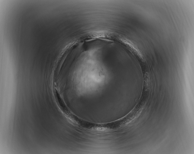 X0000116280590200912071152