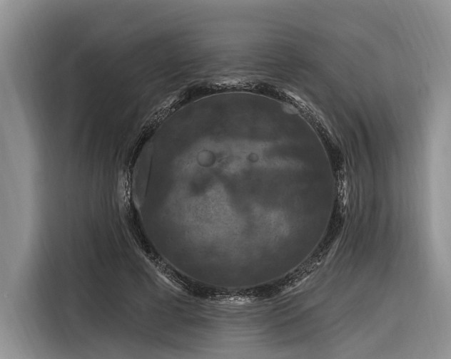 X0000116280593200912071152