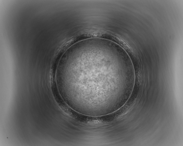 X0000116280594200912071152