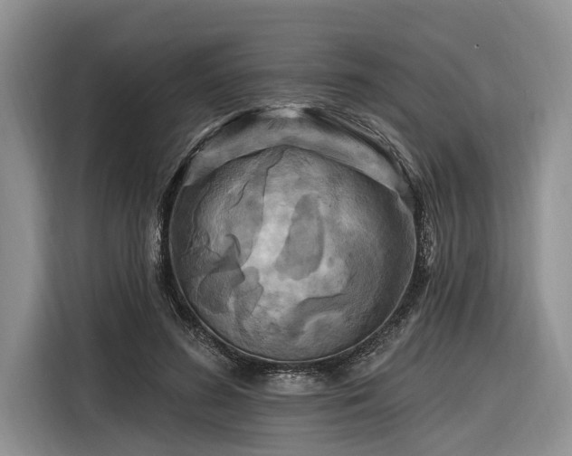 X0000116280596200912071152