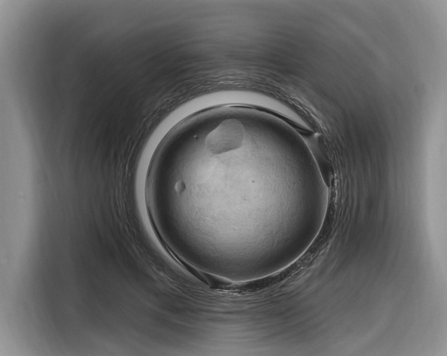 X0000116280597200912071152