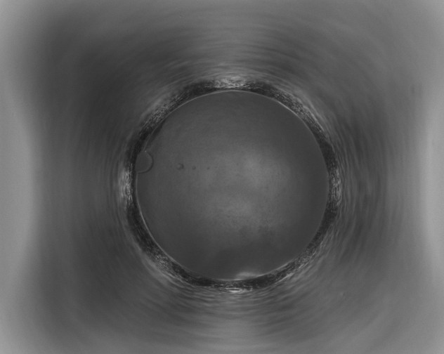 X0000116280598200912071152