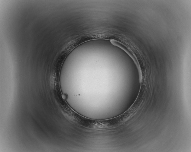 X0000116280599200912071152