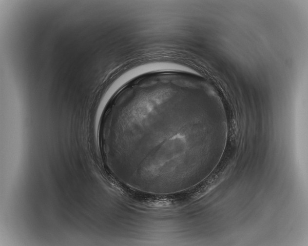 X0000116280600200912071152
