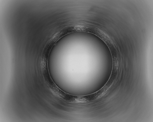 X0000116280603200912071151