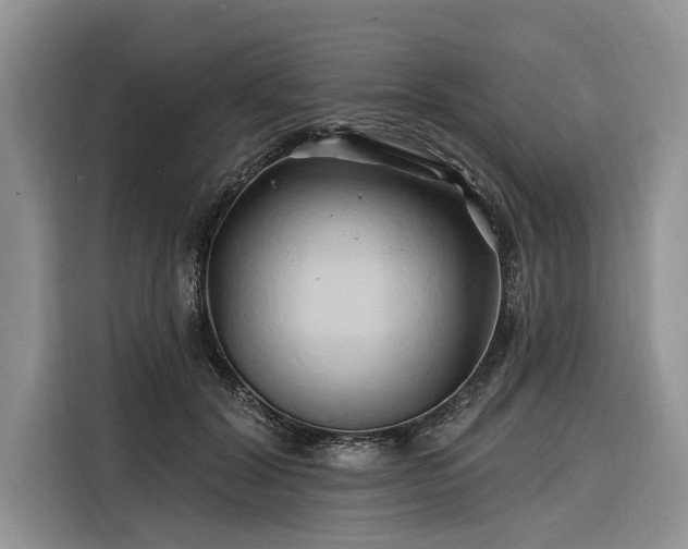 X0000116280604200912071151
