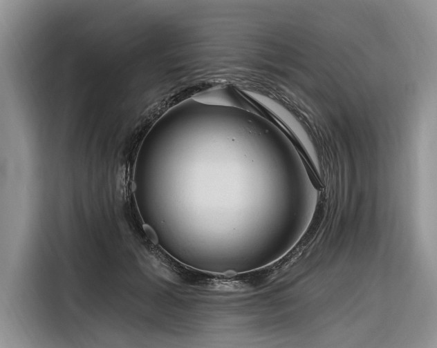 X0000116280605200912071151