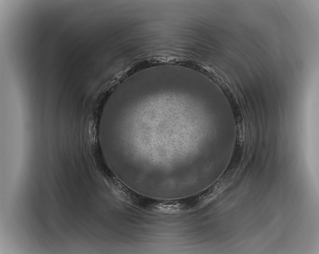 X0000116280606200912071151