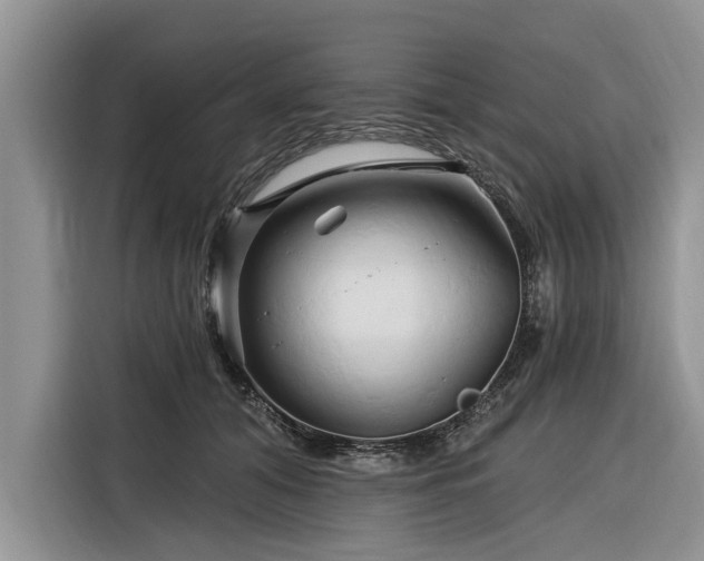 X0000116280608200912071151