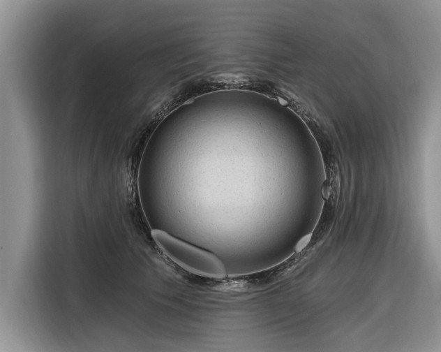 X0000116280609200912071151