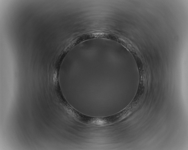 X0000116280610200912071151