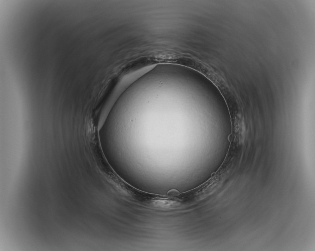 X0000116280614200912071151