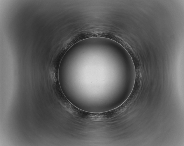 X0000116280615200912071151