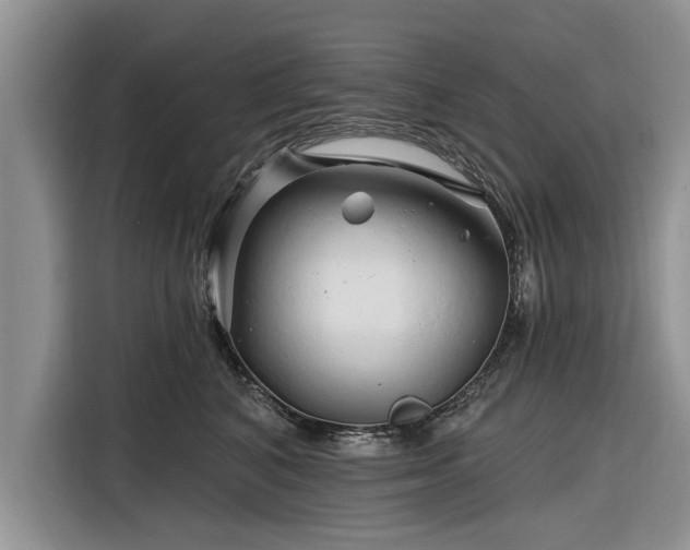 X0000116280616200912071151