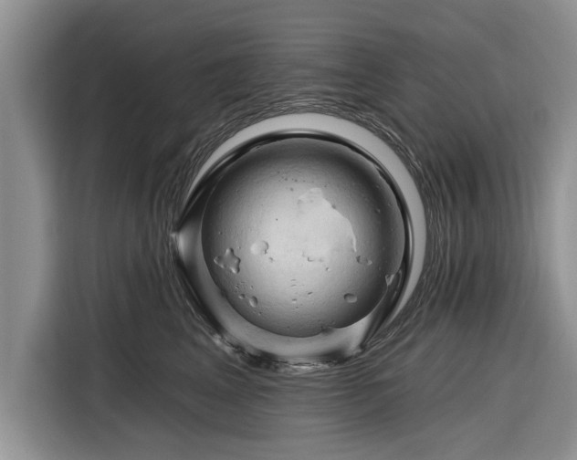 X0000116280617200912071151