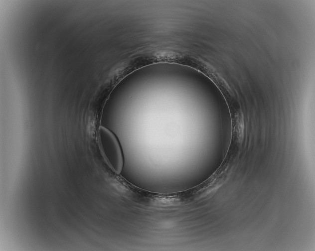 X0000116280619200912071151