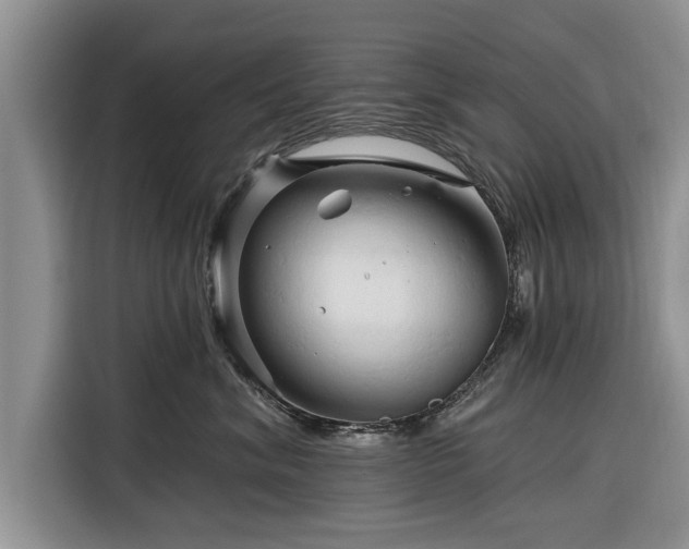 X0000116280620200912071151