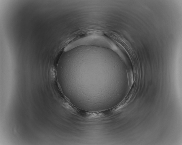 X0000116280621200912071151