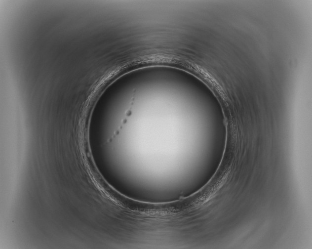 X0000116280625200912071151
