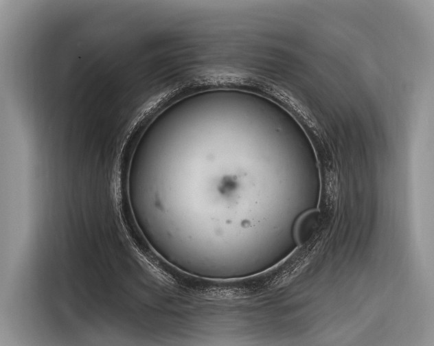X0000116280629200912071151