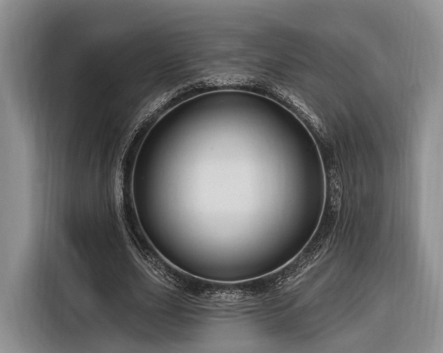 X0000116280631200912071151