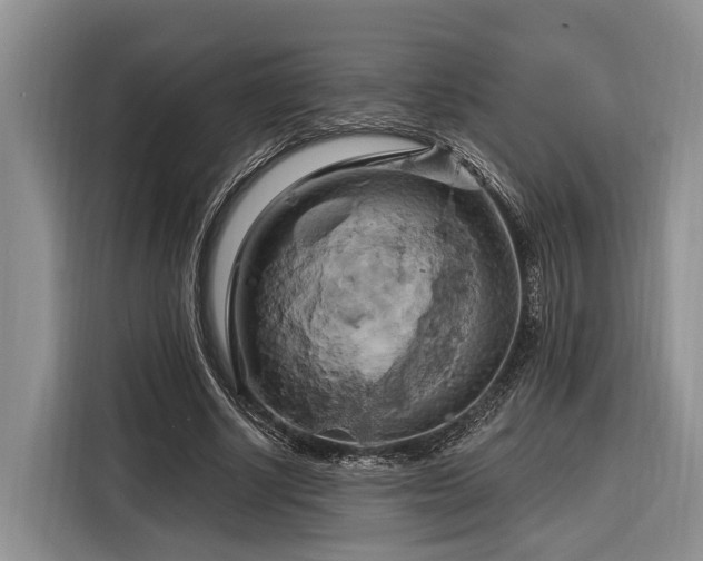 X0000116280634200912071151