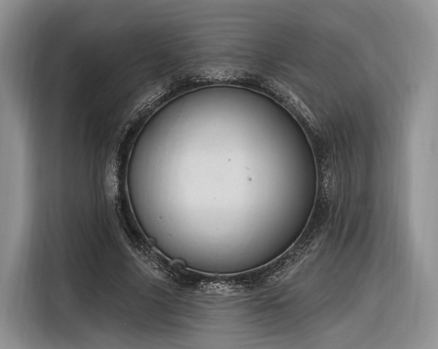 X0000116280635200912071151