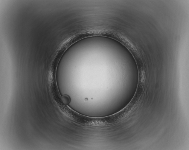 X0000116280636200912071151