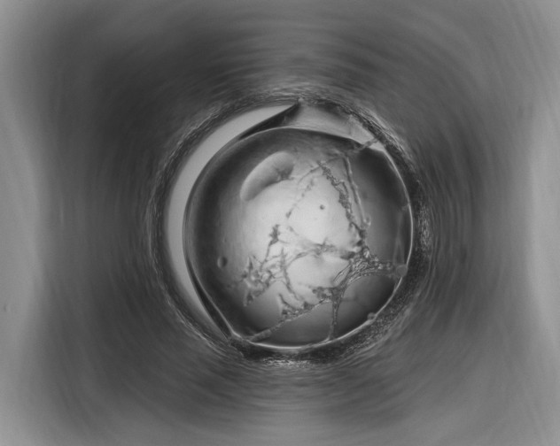 X0000116280637200912071151