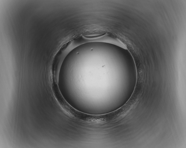 X0000116280638200912071151