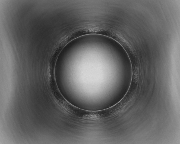 X0000116280639200912071151