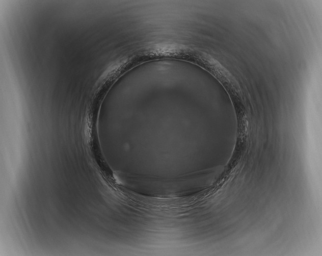 X0000116280640200912071151