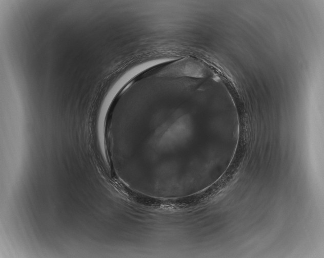 X0000116280641200912071151