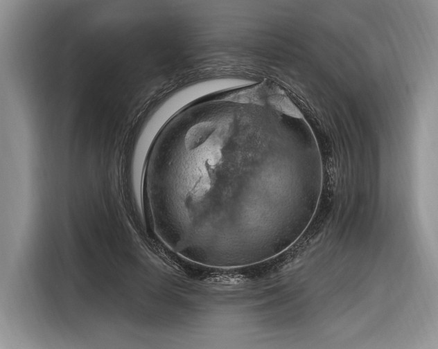 X0000116280642200912071151