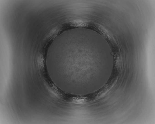 X0000116280643200912071151