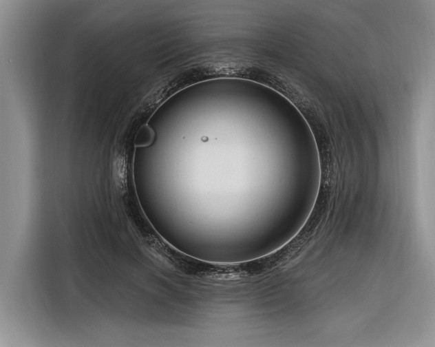 X0000116280646200912071151