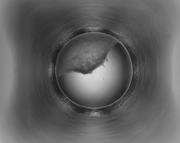 X0000116280647200912071151