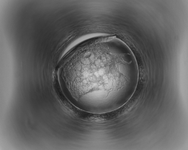 X0000116280648200912071151