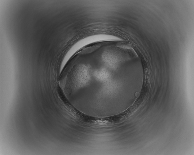 X0000116280650200912071151