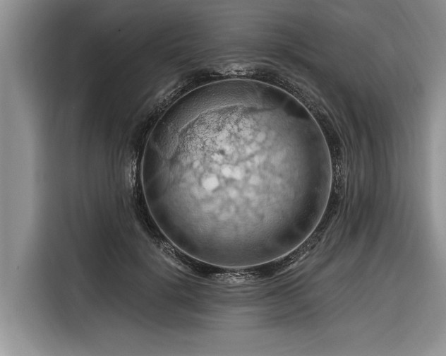 X0000116280652200912071151