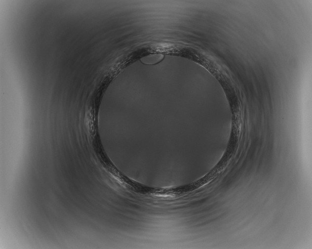 X0000116280653200912071151