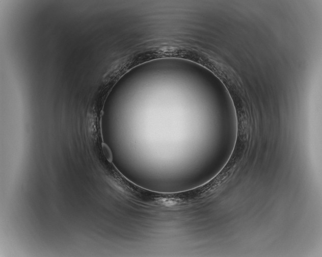 X0000116280654200912071151