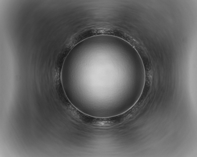 X0000116280657200912071151
