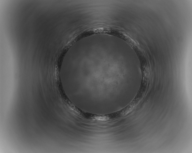 X0000116280659200912071151