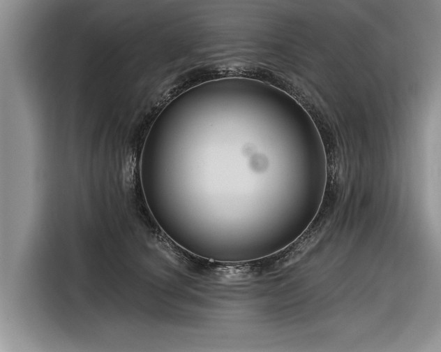 X0000116280660200912071151