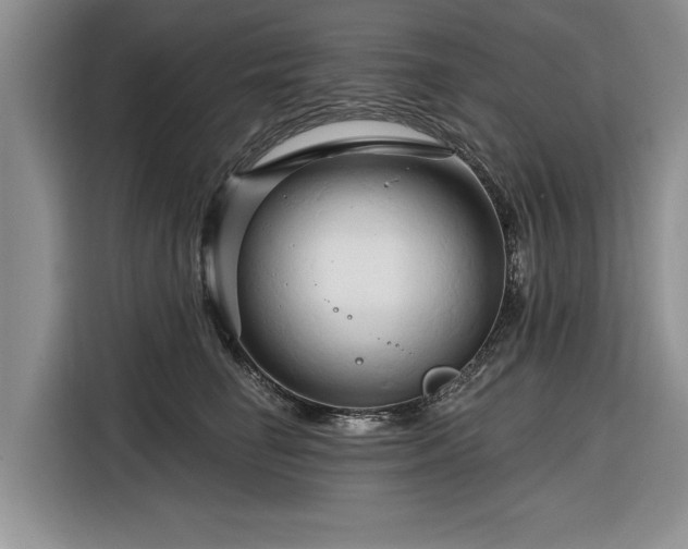 X0000116280662200912071151