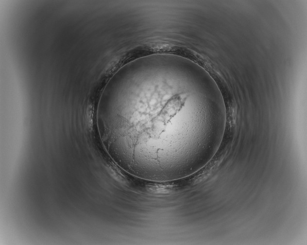 X0000116280664200912071151