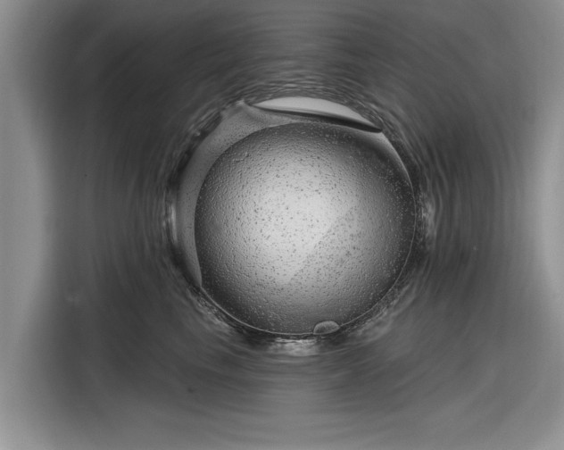 X0000116280665200912071151