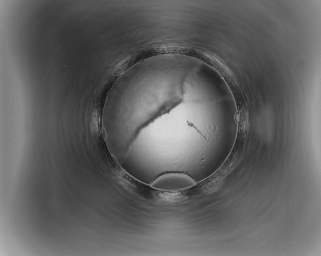 X0000116280669200912071151